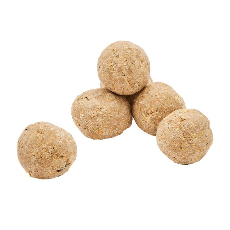 Ambassador Fat Balls501