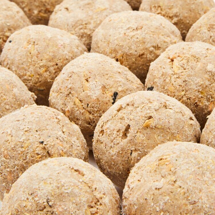 Ambassador Fat Balls502