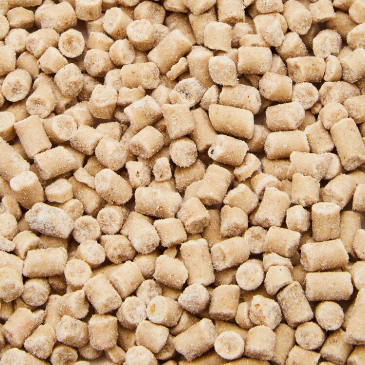 Ambassador Mealworm Suet Pellets2 Ambassador mealworm feeding wild bird