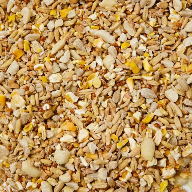 Ambassador No Mess Hi Energy Seed2 Ambassador no mess high energy bird seed