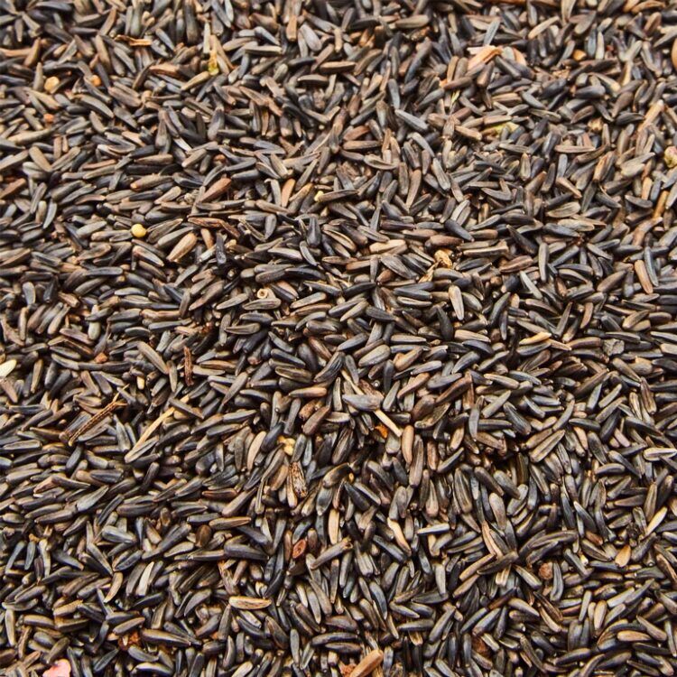 Ambassador Nyger Seed2 Nyger Seed Ambassador for feeding wild birds