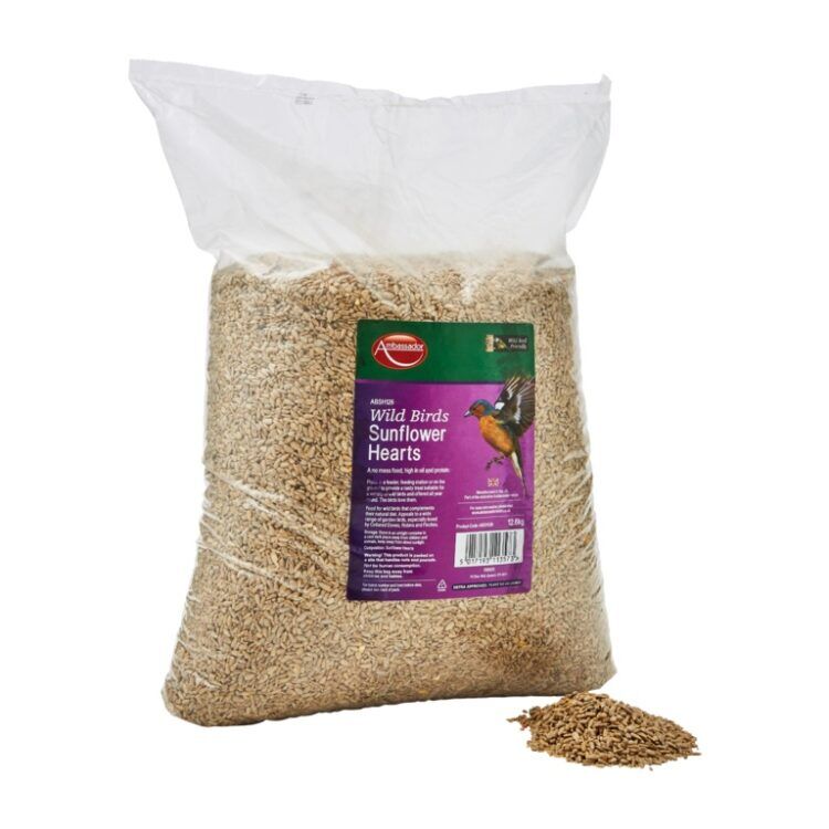 Ambassador Sunflower Hearts1 Ambassador Sunflower Hearts