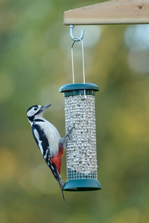 Rspb Classic Peanut Feeder RSPB Classic Peanut Feeder for feeding garden birds