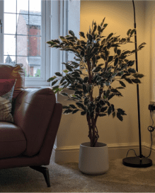 artifical ficus tree