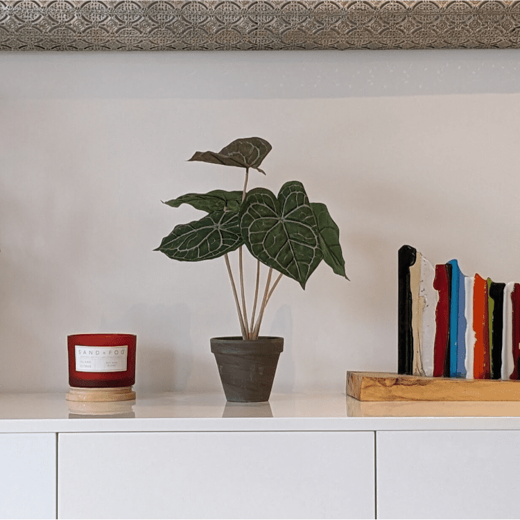 Untitled design-31 Artificial Peperomia