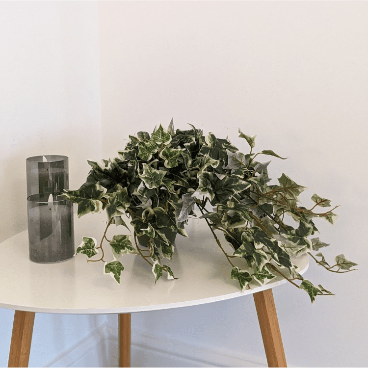 Untitled design-36 Hanging Ivy Artificial