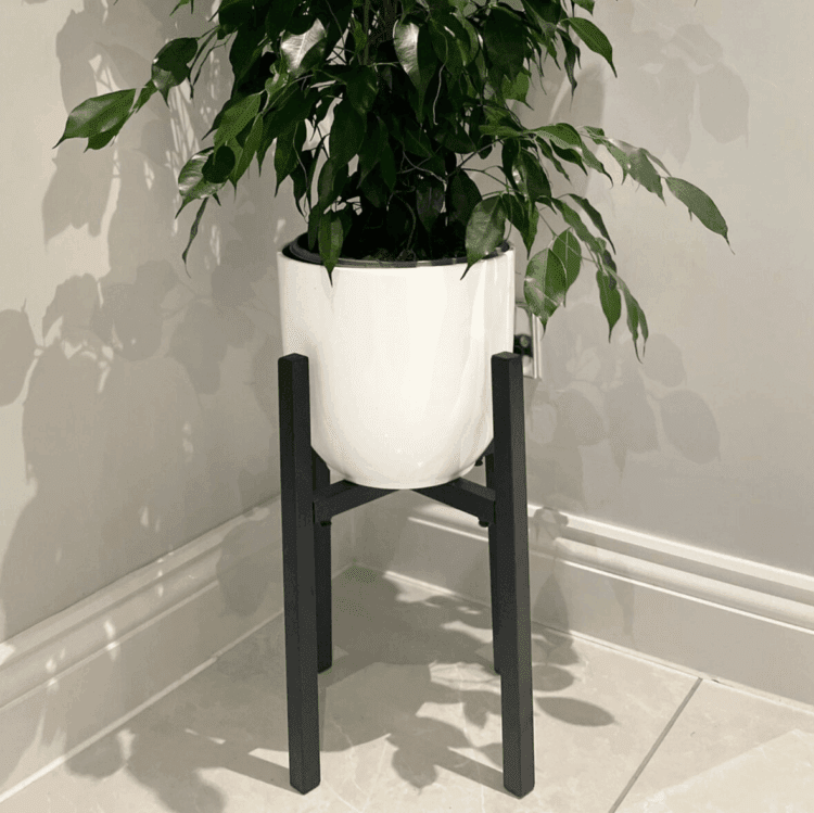 MPPS pot stand