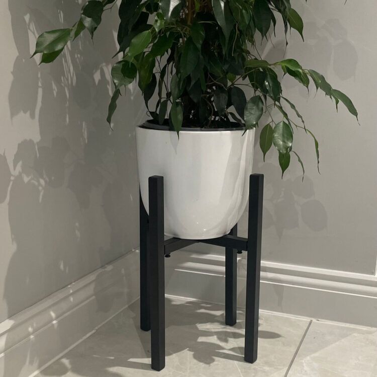 aabd4250-56a4-4707-9e7b-f04b5db77de9 white pot for plant