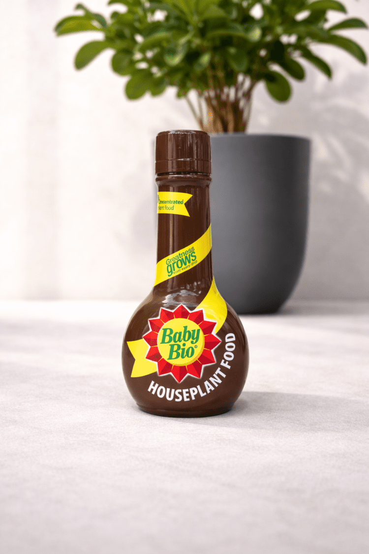 9f0391e9-b03b-48f4-a1cf-70312d2a79f2