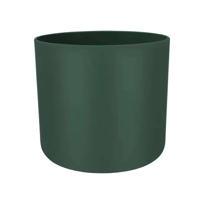 b.for_soft_round_leaf_green.p1