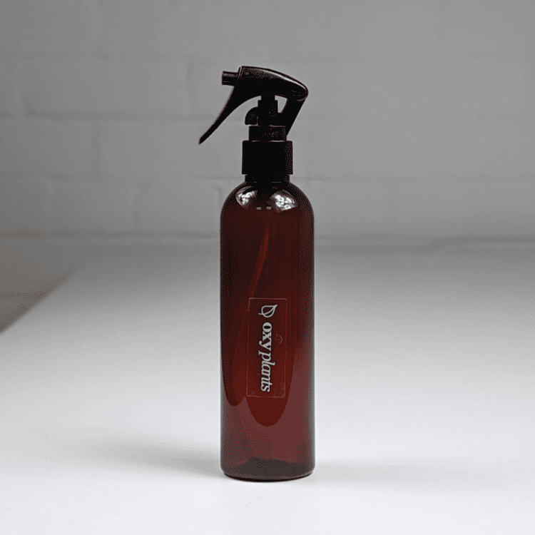 Untitled design-3 mister