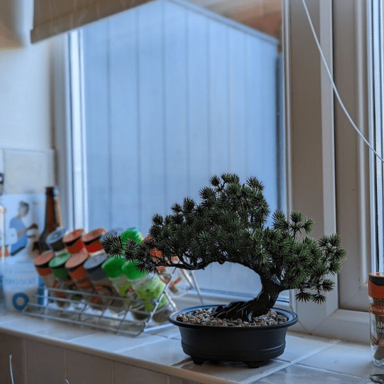 Bonsai Artificial Tree - Elder