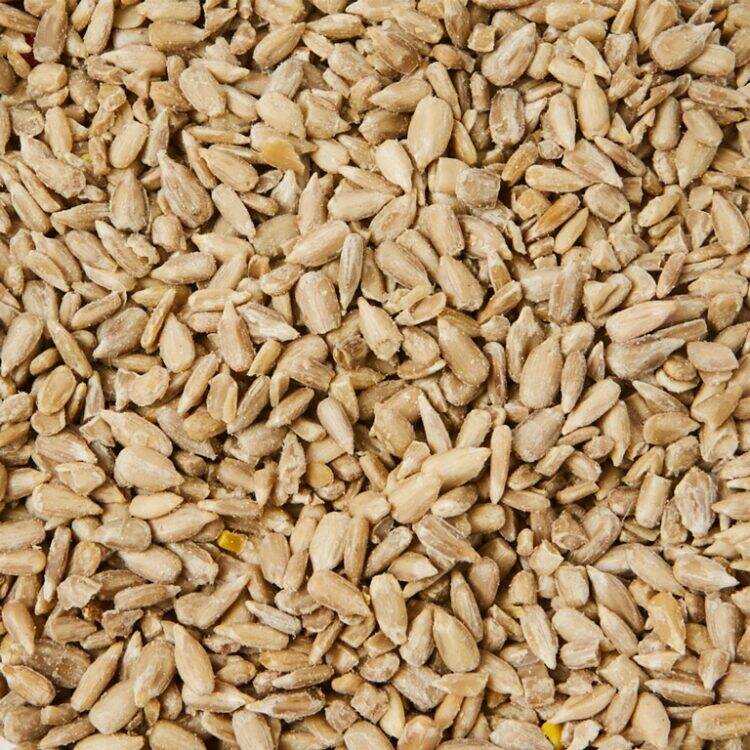 Ambassador Sunflower Hearts2