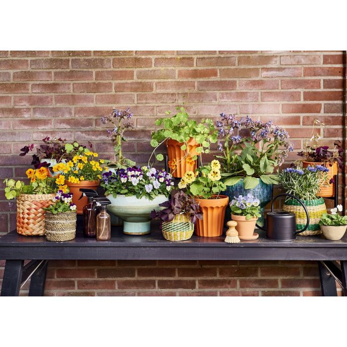 8720362001713-01s-02 garden care