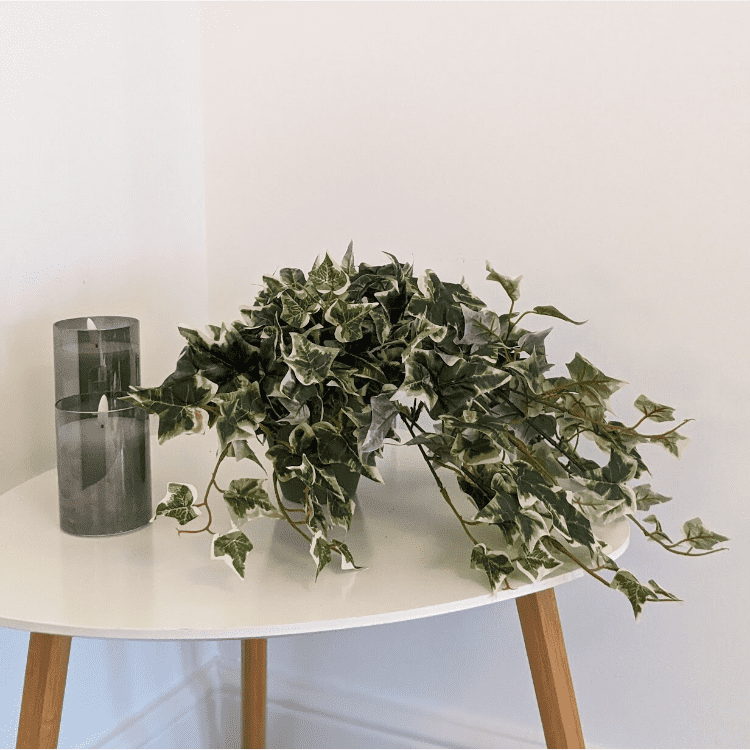 Untitled design-36 Hanging Ivy Artificial