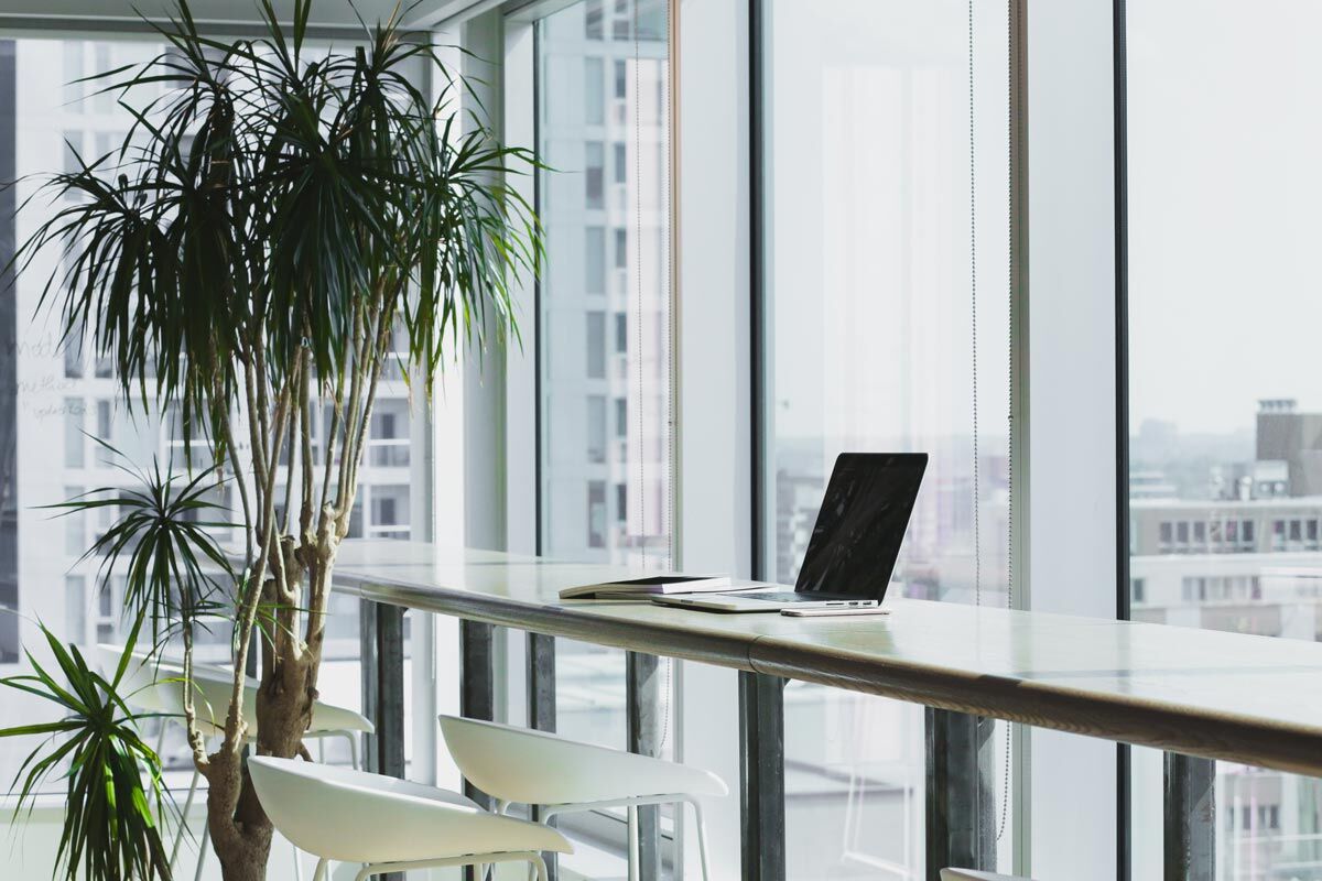 business office plants