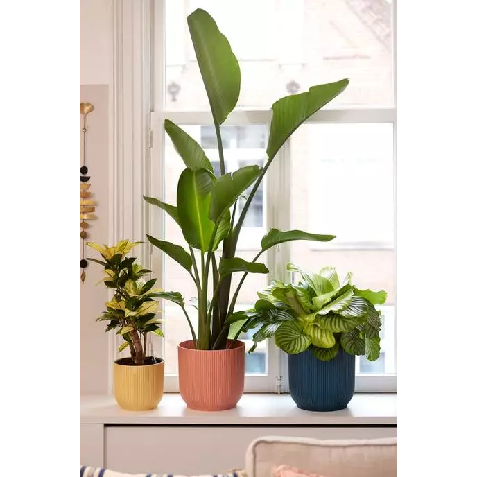 Decorative indoor plant pot