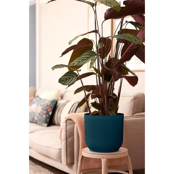 Stylish plant pot for indoor plants