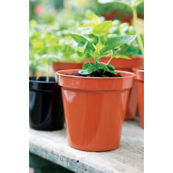plastic nursery pot