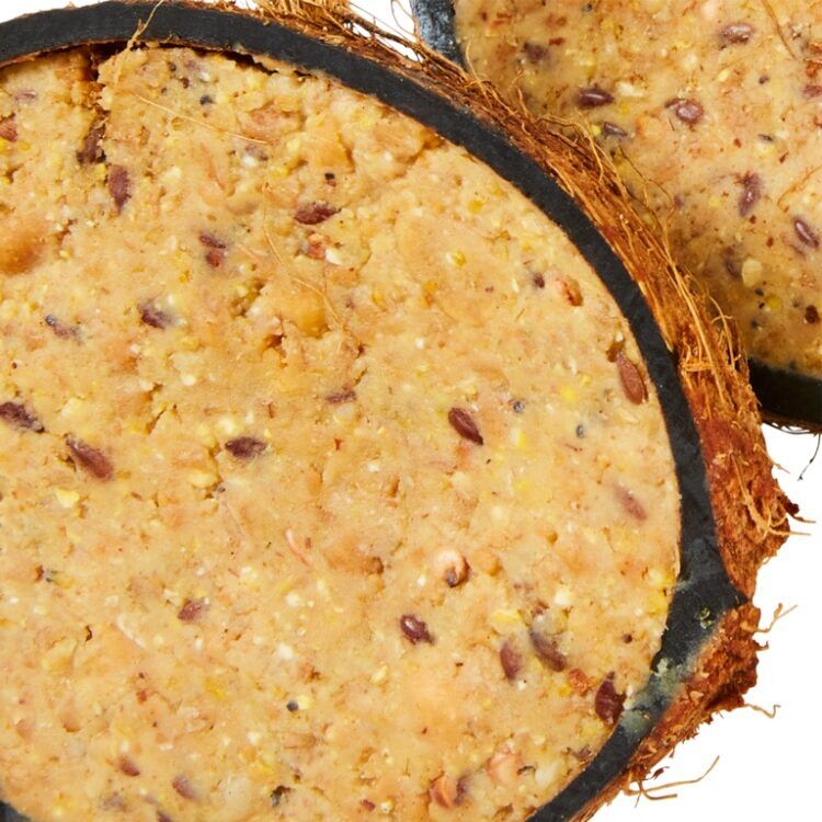 Ambassador Peanut Butter Coconut Halves Bird Food