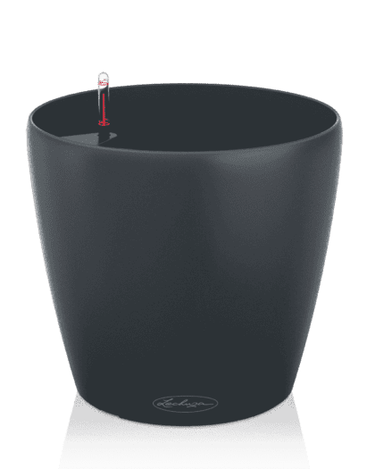 clasico pot black 5