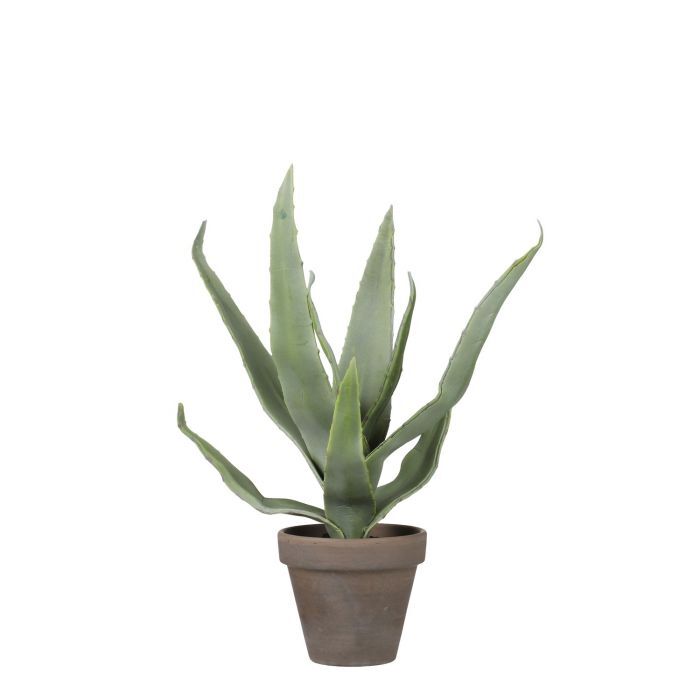 8718861774108-01a Artificial Succulent
