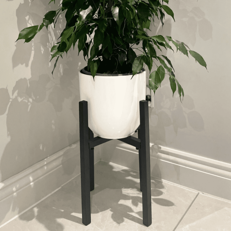 MPPS pot stand