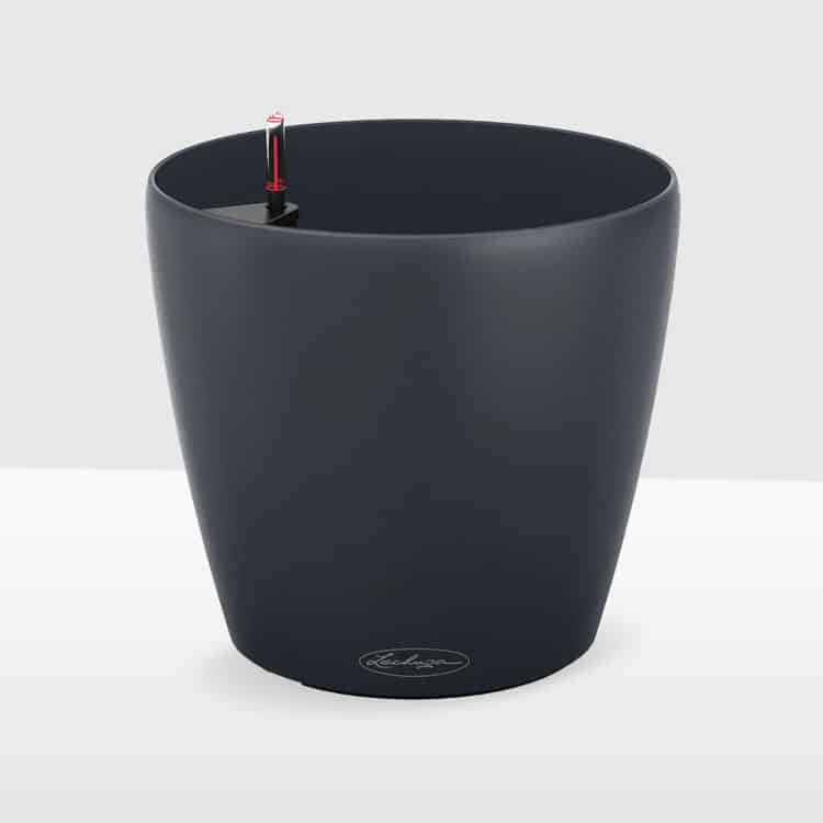 lechuza classico color slate self-watering pot planter lechuza classico color slate self-watering pot