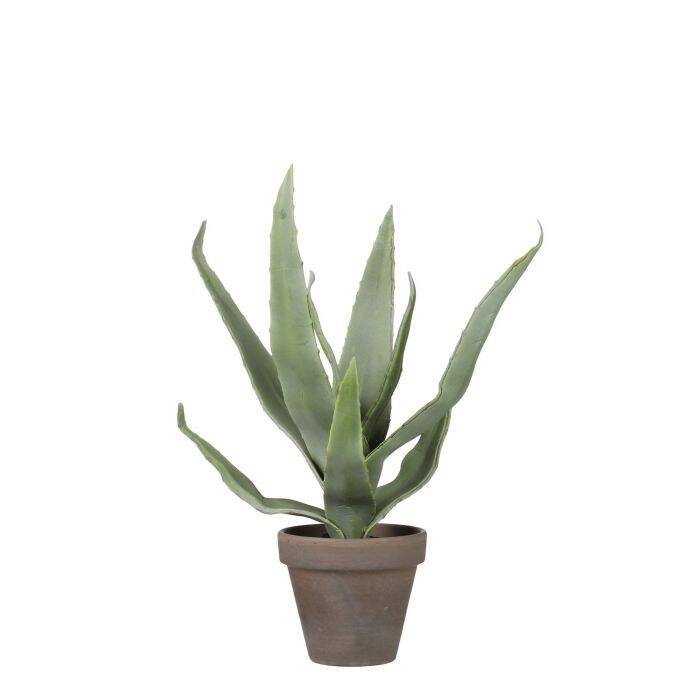 8718861774108-01a Artificial Succulent