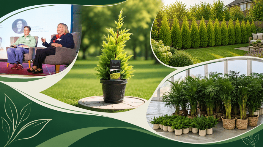 Hire Indoor Plants