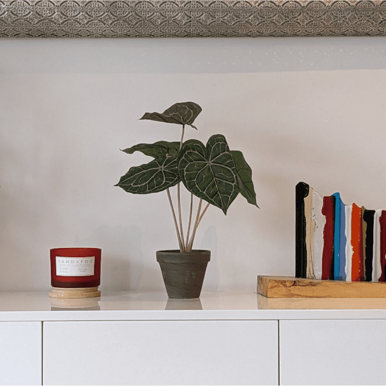 Untitled design-31 Artificial Peperomia