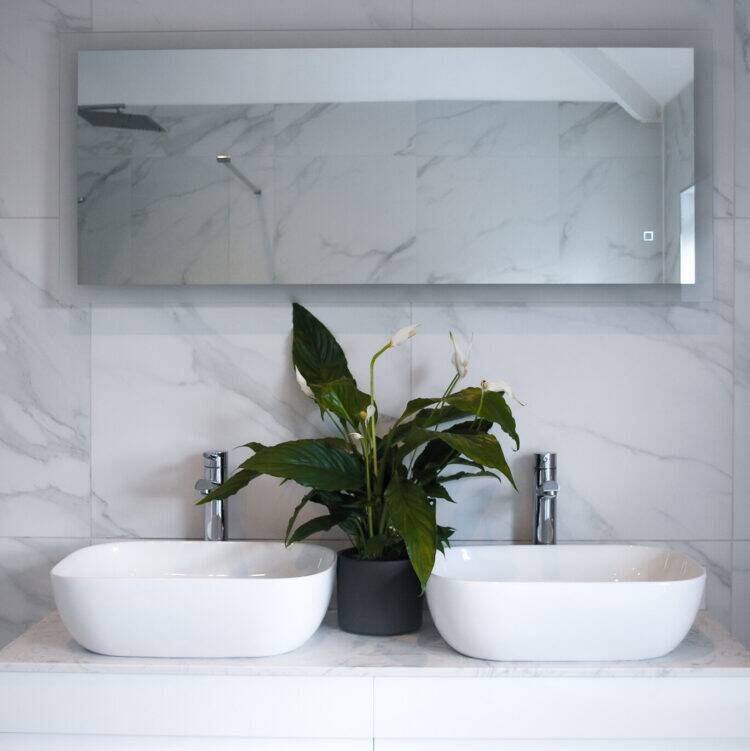 bathroom-bundle-peace-lily-sink Bathroom Plant Bundle