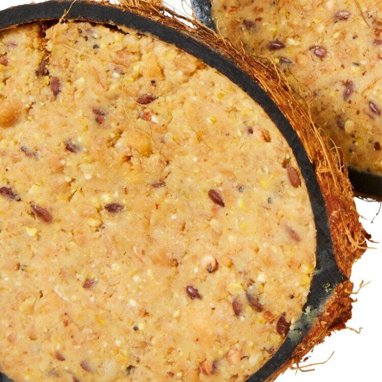 Ambassador Peanut Butter Coconut Halves2