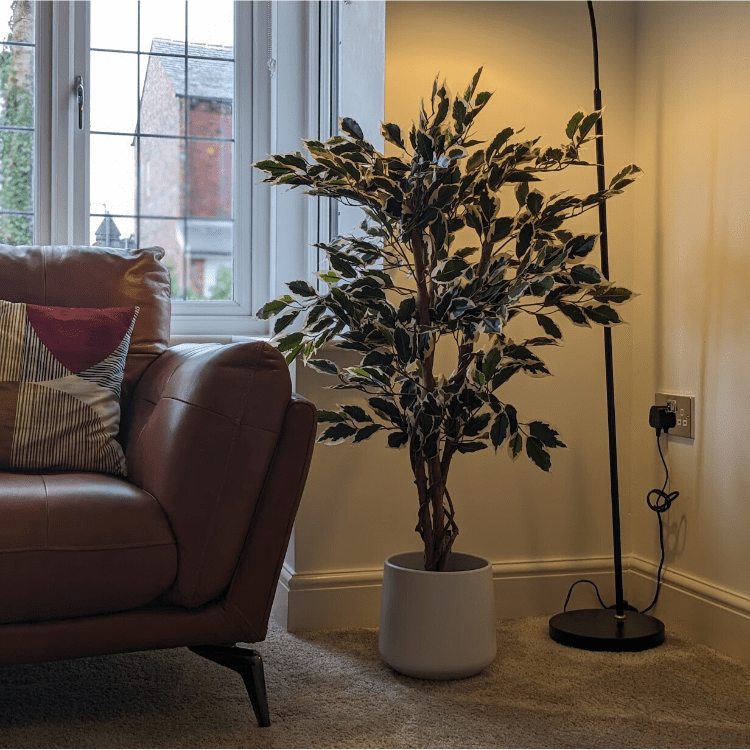 Untitled design-18 artifical ficus tree